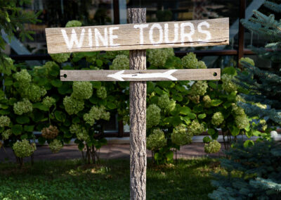 Long Island Wine Tours Limo