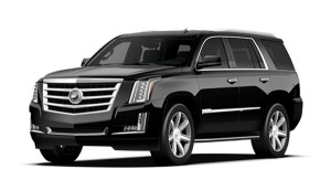 Hamptons Limousine - 2015 Cadillac Escalade